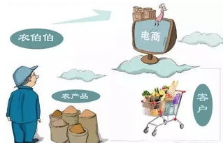 農(nóng)村電商創(chuàng)業(yè)指南 農(nóng)產(chǎn)品電商網(wǎng)絡搭建全攻略